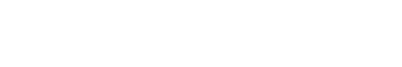 $39 Get Started-Initial Assessment and Adjustment